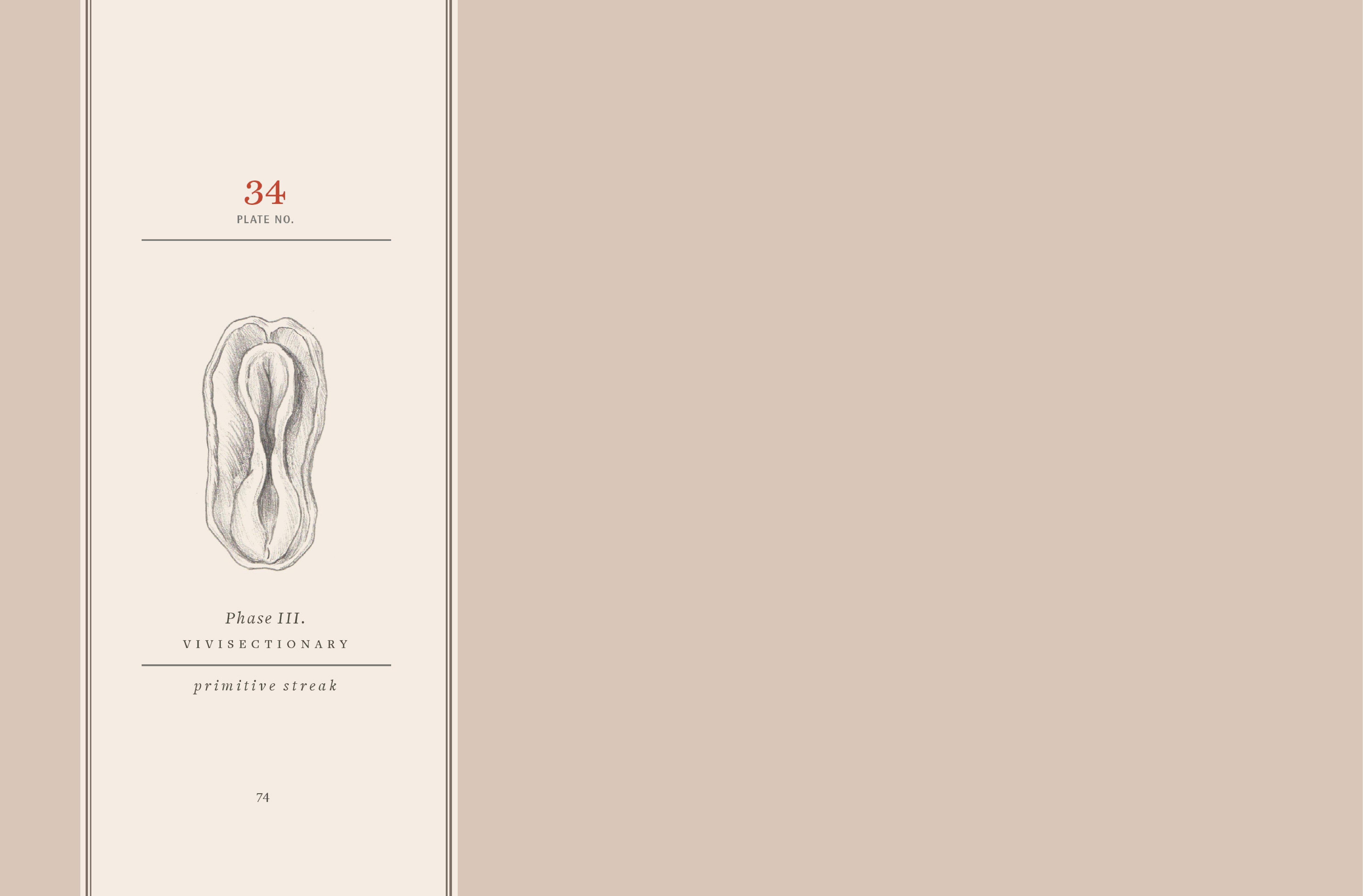 Read online Vivisectionary comic -  Issue # TPB - 75