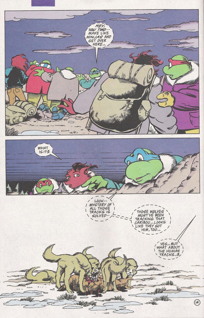 Read online Teenage Mutant Ninja Turtles Adventures (1989) comic -  Issue #68 - 16