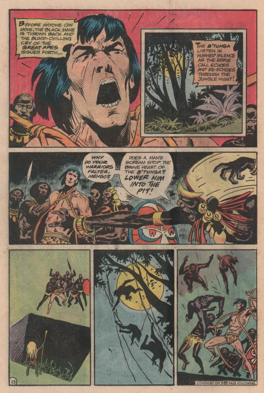 Read online Tarzan (1972) comic -  Issue #225 - 14