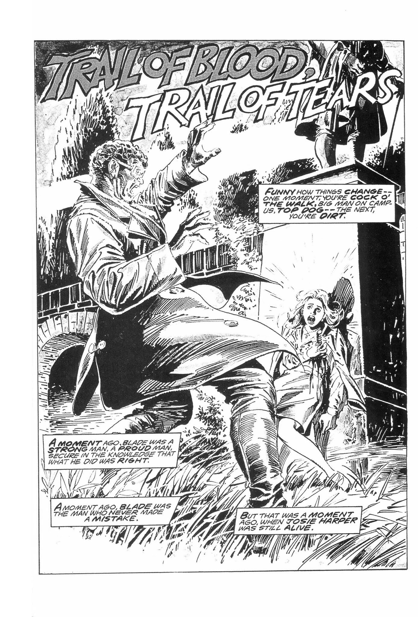 Read online Blade: Black & White comic -  Issue # TPB - 41