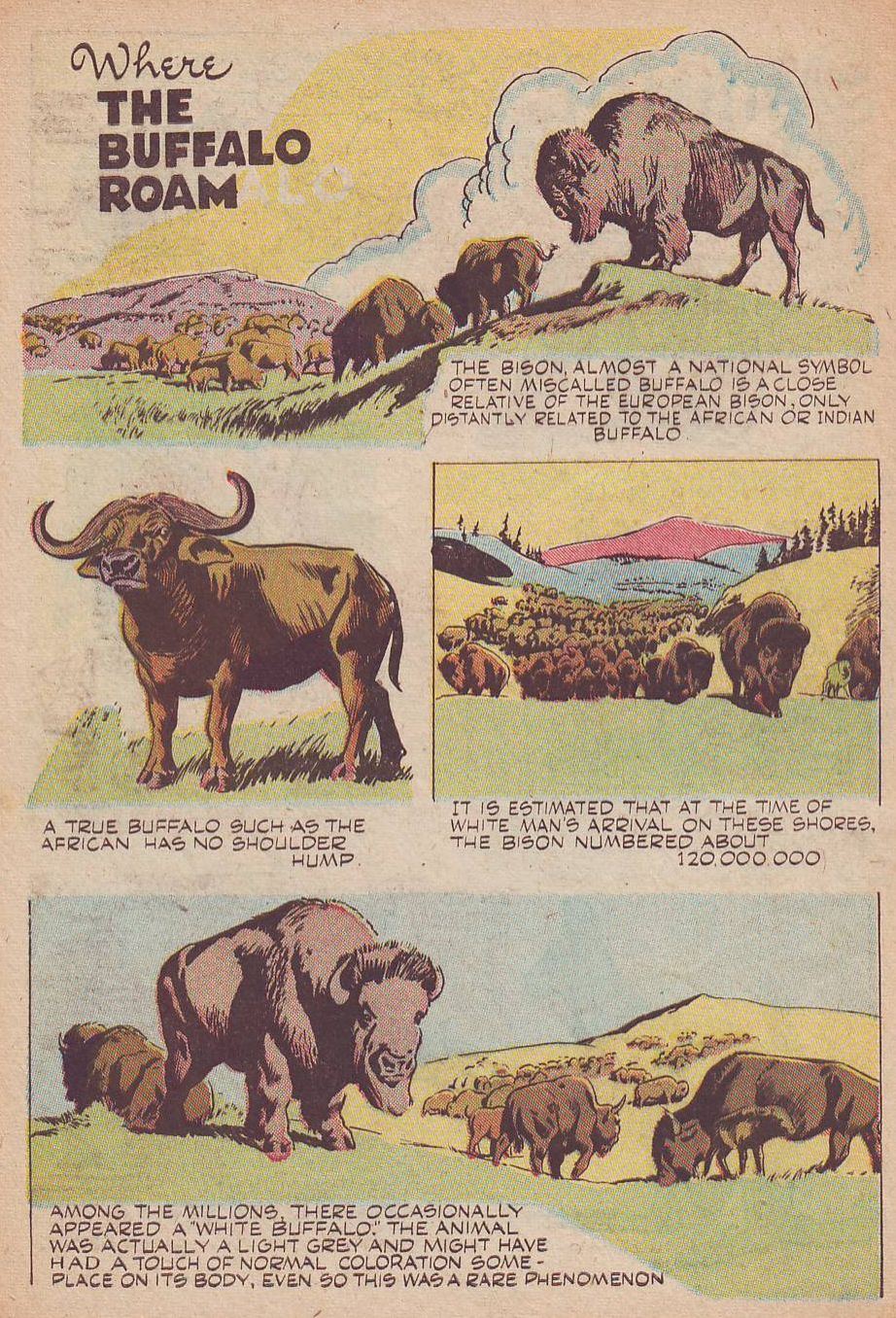 Read online Animal Comics comic -  Issue #25 - 46