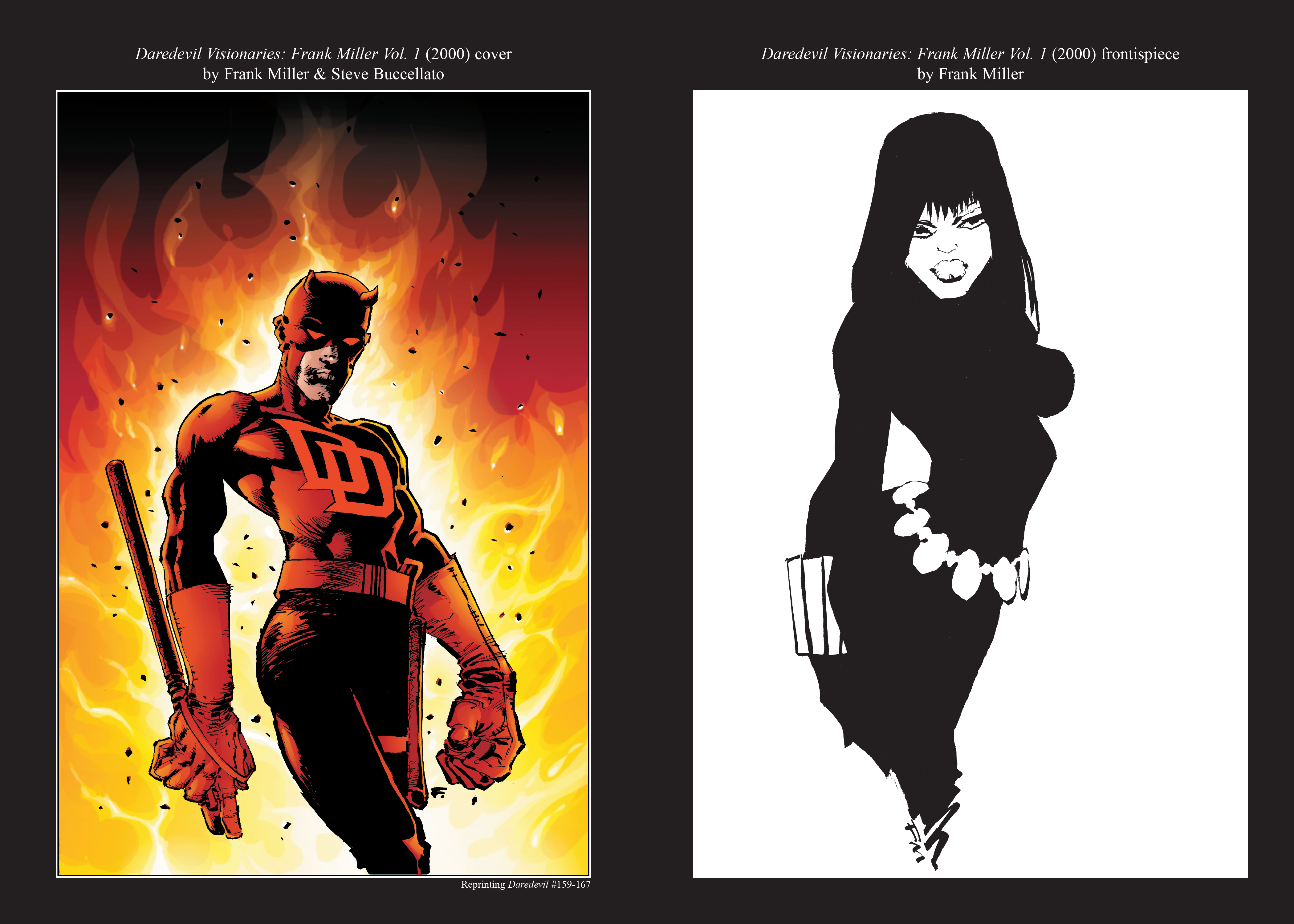 Read online Marvel Masterworks: Daredevil comic -  Issue # TPB 15 (Part 4) - 25