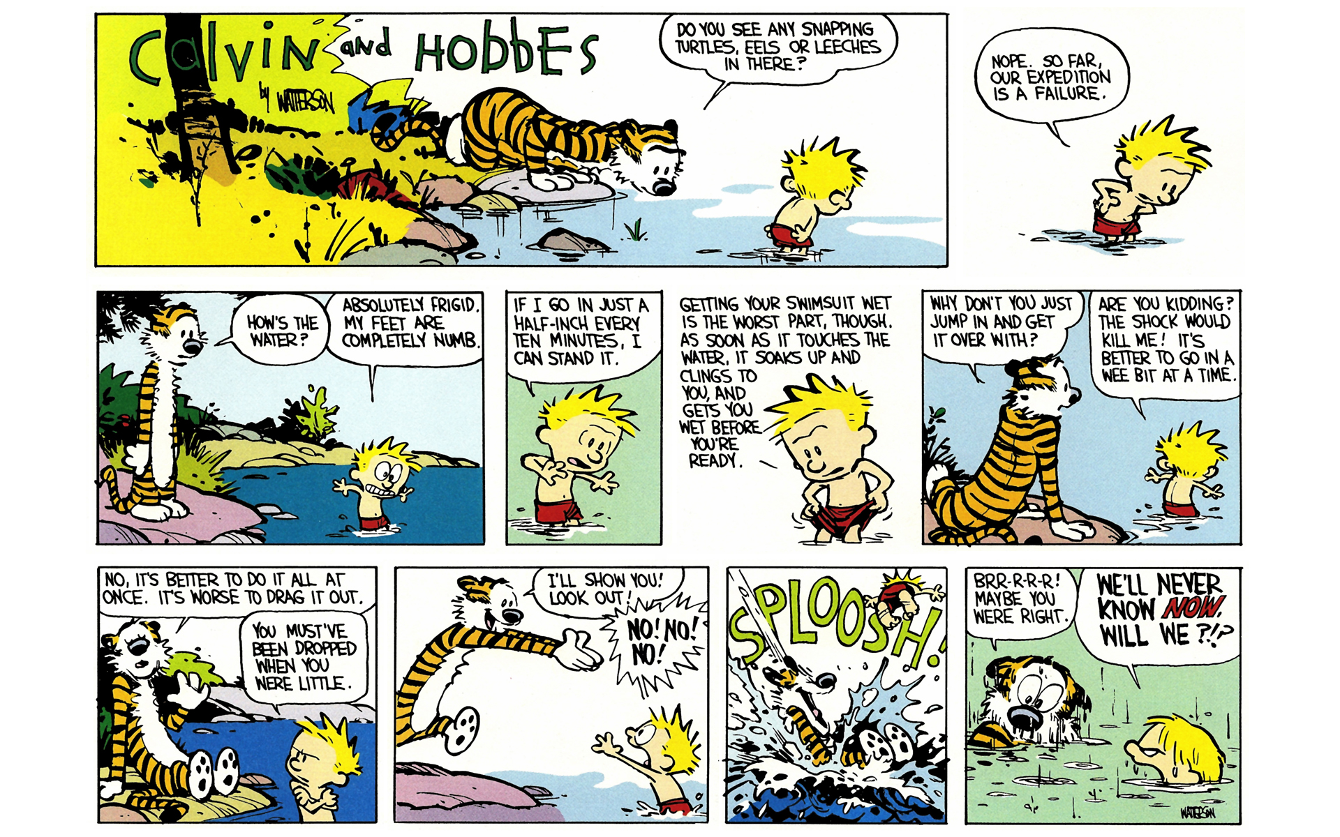 Read online Calvin and Hobbes comic -  Issue #4 - 68