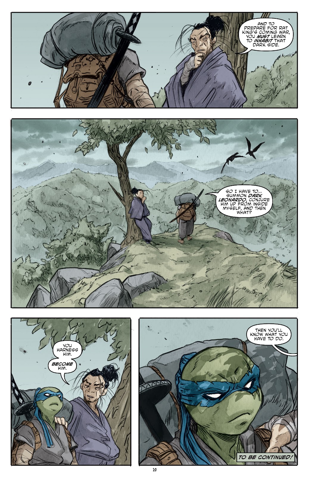 Teenage Mutant Ninja Turtles (2011) issue 131 - Page 22
