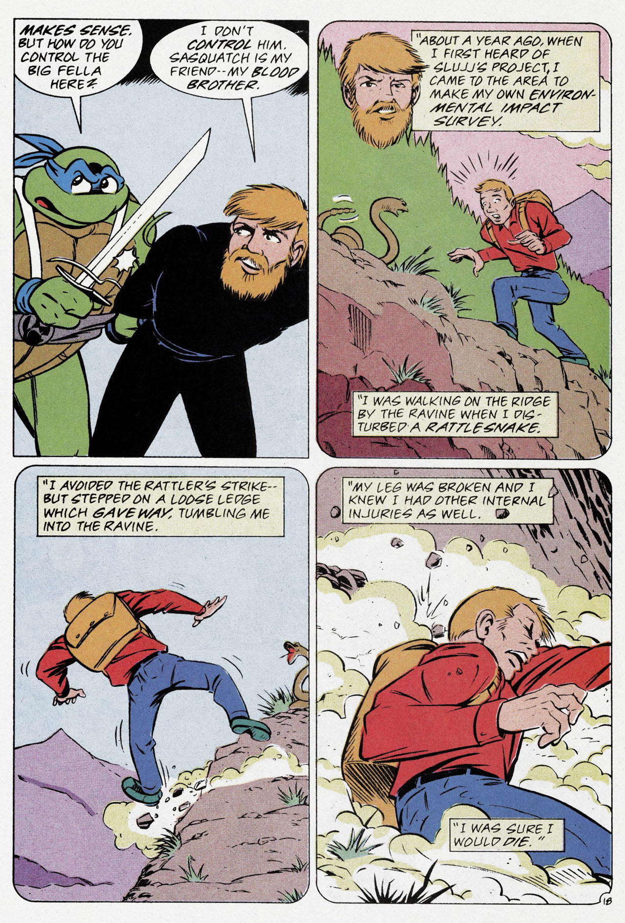Read online Teenage Mutant Ninja Turtles Adventures (1989) comic -  Issue # _Special 1 - 20