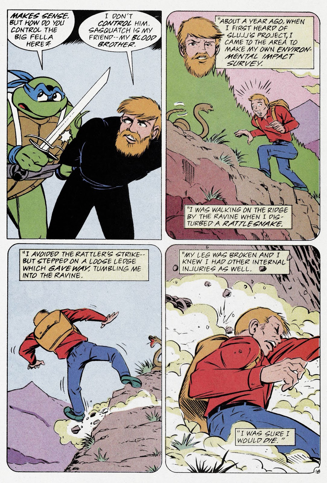 Teenage Mutant Ninja Turtles Adventures (1989) issue Special 1 - Page 20