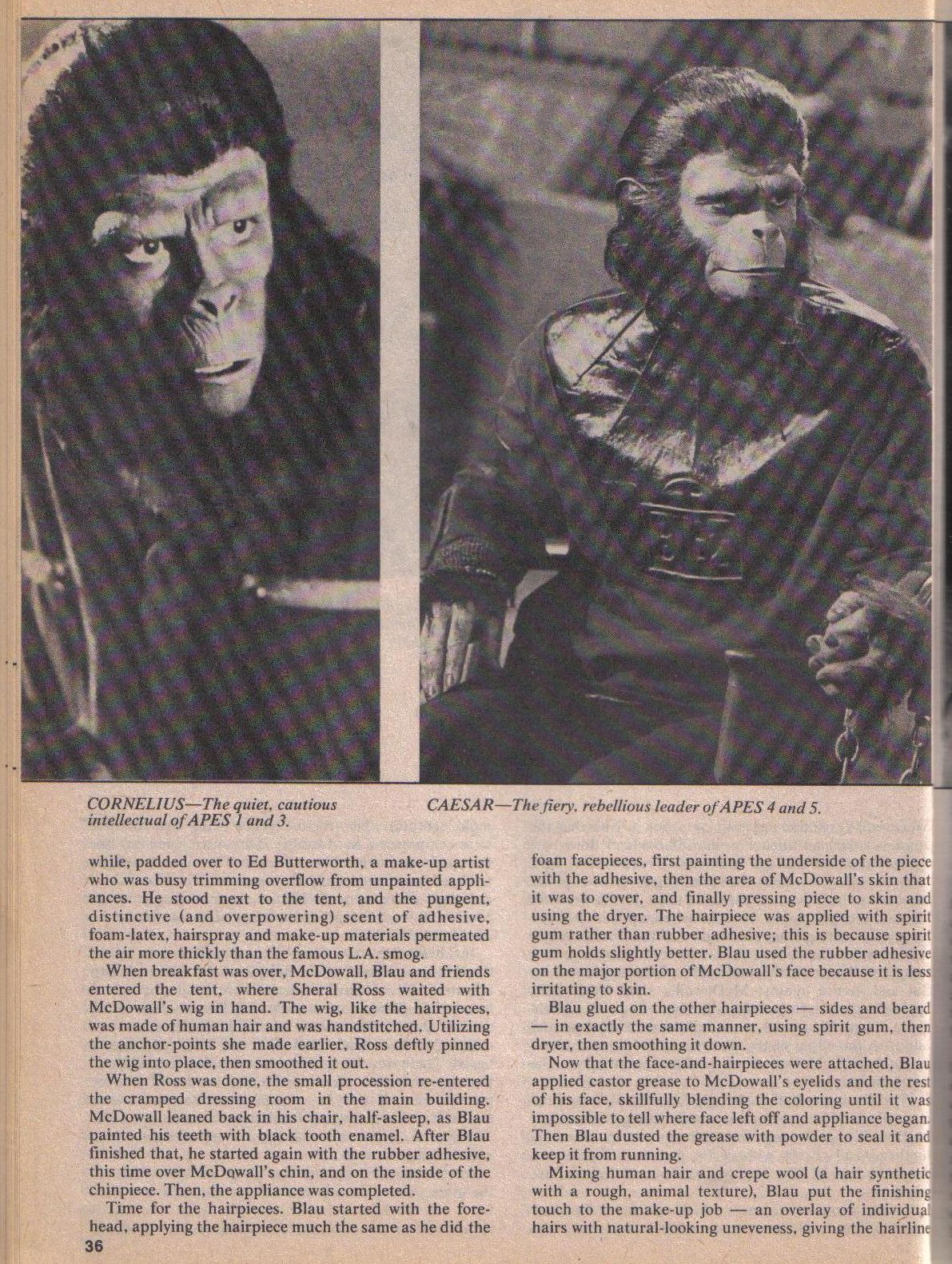 Read online Planet of the Apes comic -  Issue #8 - 36