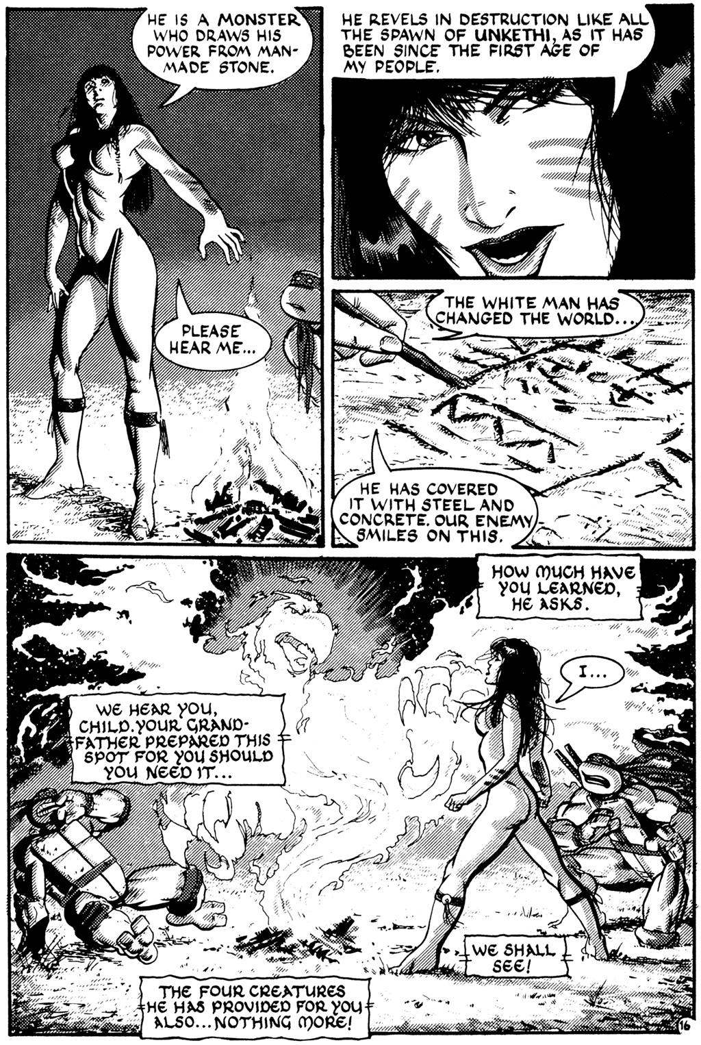 Teenage Mutant Ninja Turtles (1984) Issue #27 #27 - English 16