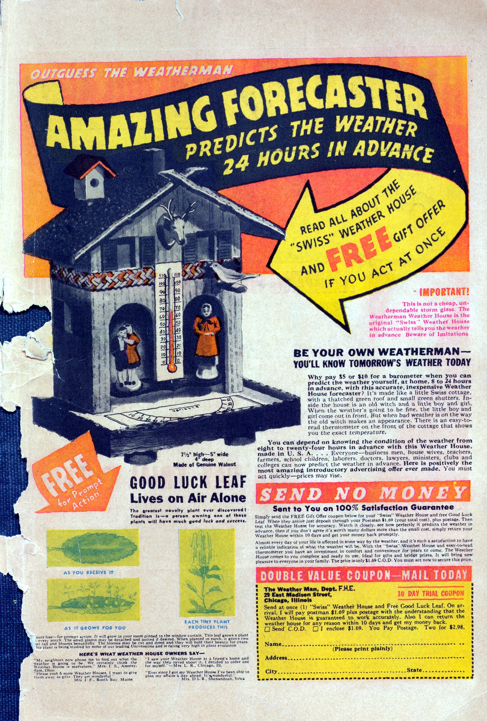 Read online Rangers Comics comic -  Issue #19 - 51