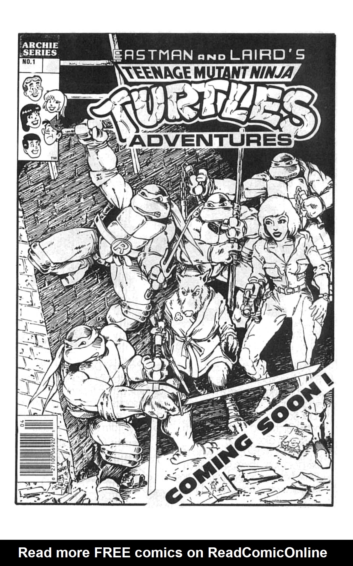 Read online Teenage Mutant Ninja Turtles (1984) comic -  Issue #13 - 46