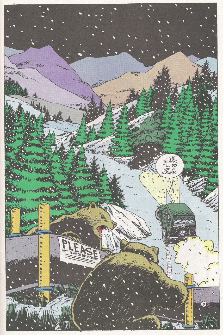Read online Teenage Mutant Ninja Turtles Adventures (1989) comic -  Issue #67 - 11