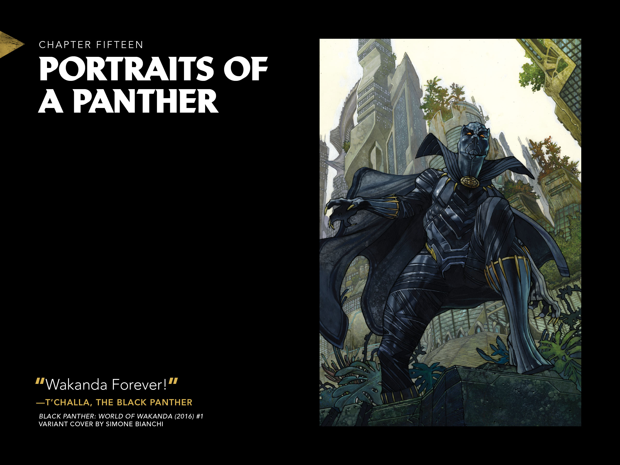 Read online Black Panther: Visions of Wakanda comic -  Issue # TPB (Part 4) - 40