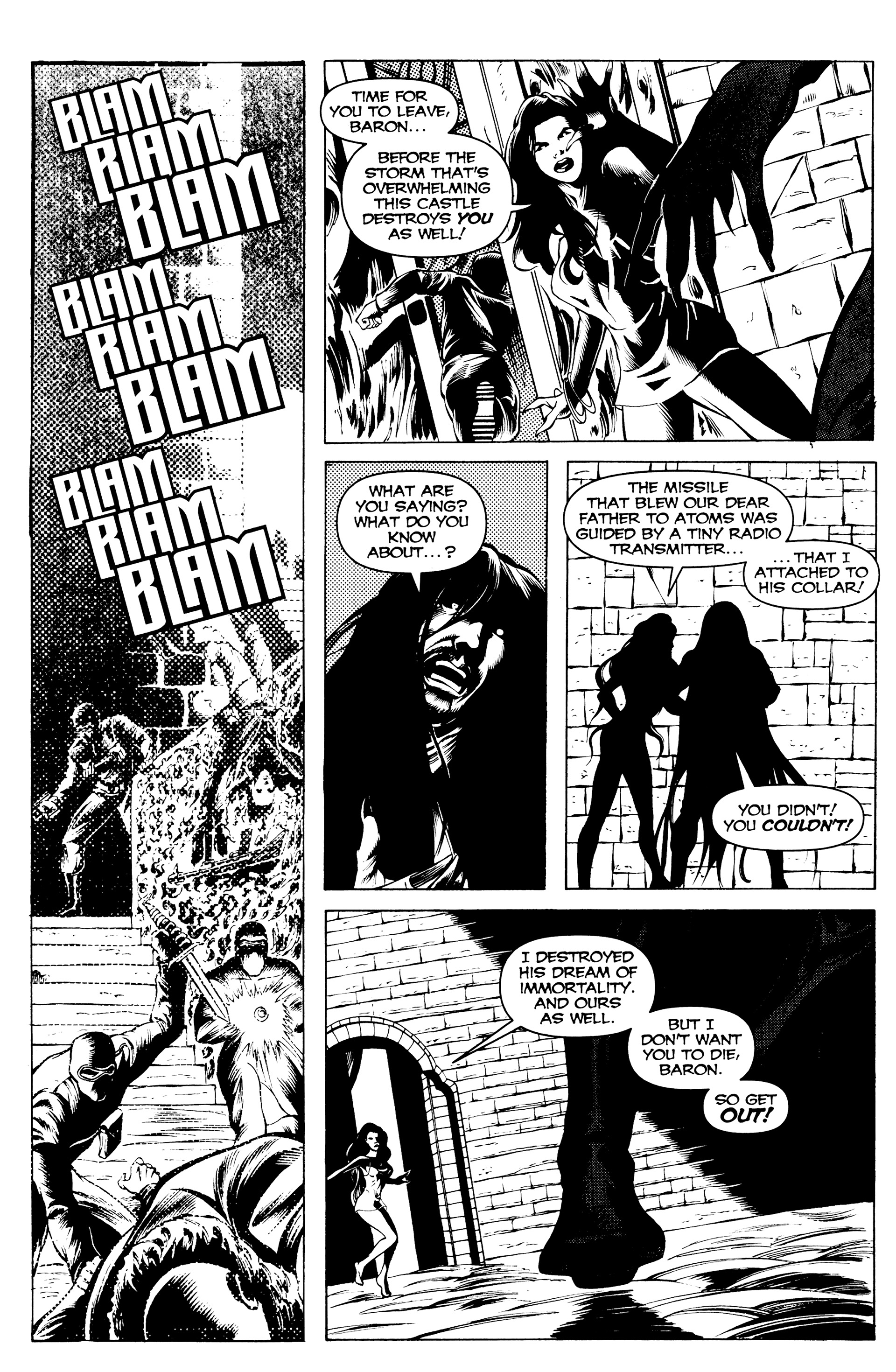 Read online Countess Vladimira:  Blood Relations comic -  Issue #3 - 27