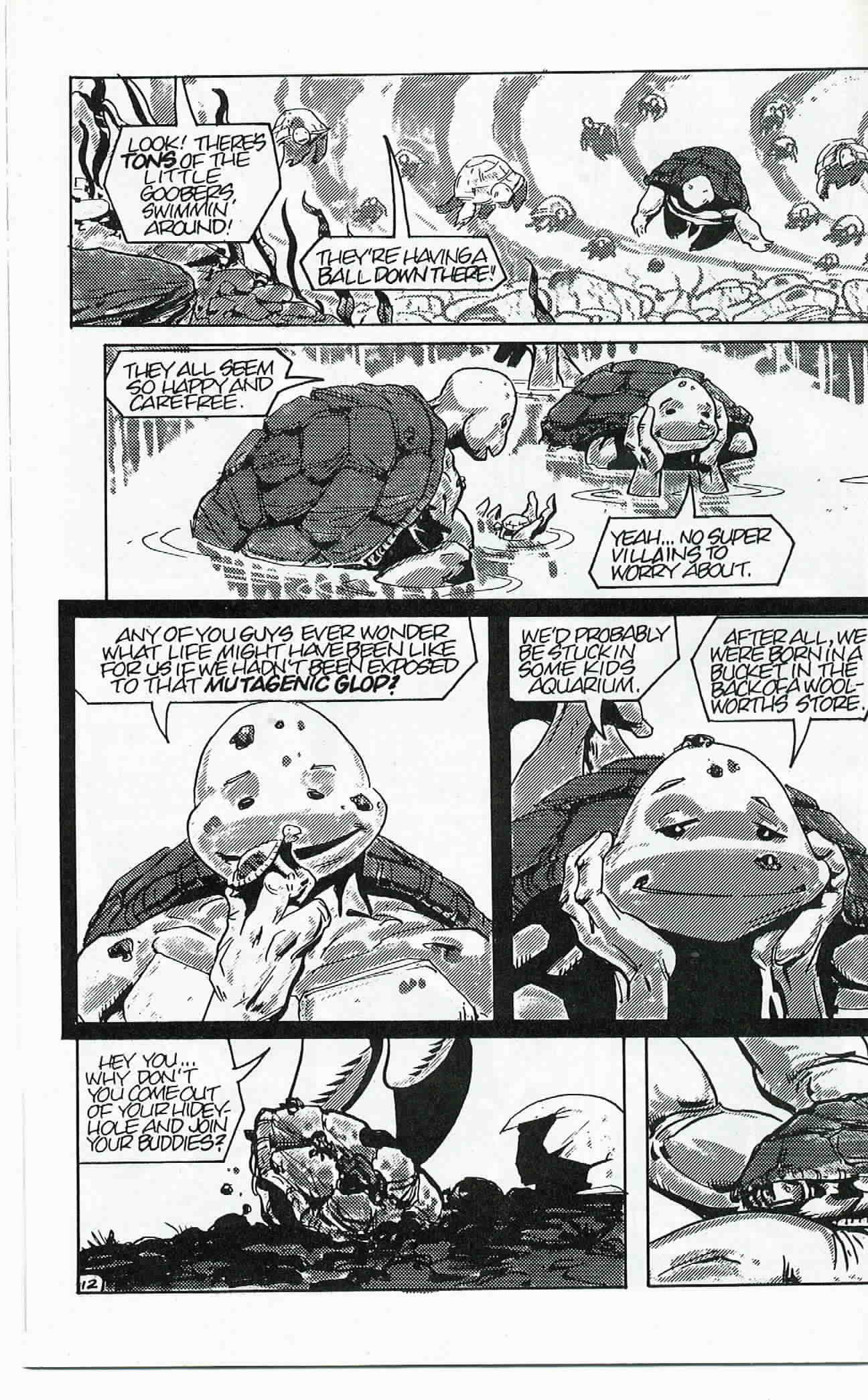 Read online Teenage Mutant Ninja Turtles (1984) comic -  Issue #24 - 13