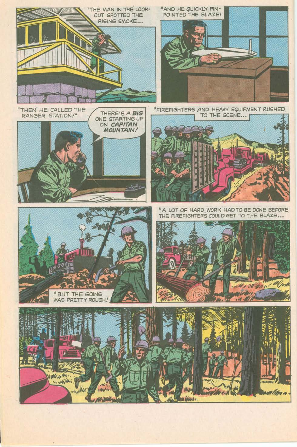 Read online The True Story of Smokey  Bear comic -  Issue # Full - 6