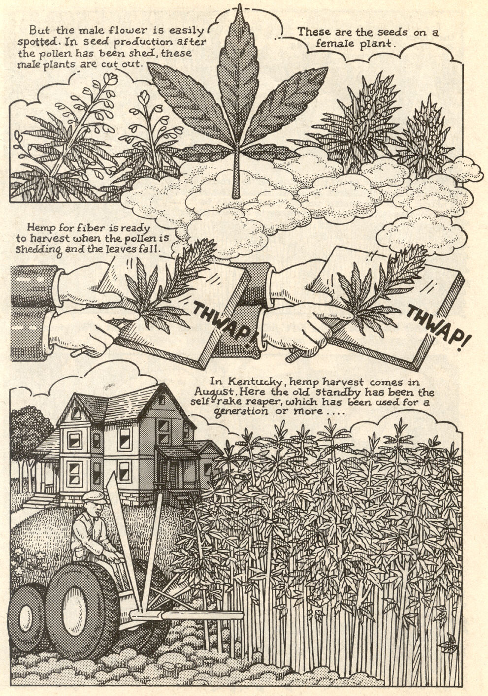 Read online Hemp for Victory comic -  Issue # Full - 14