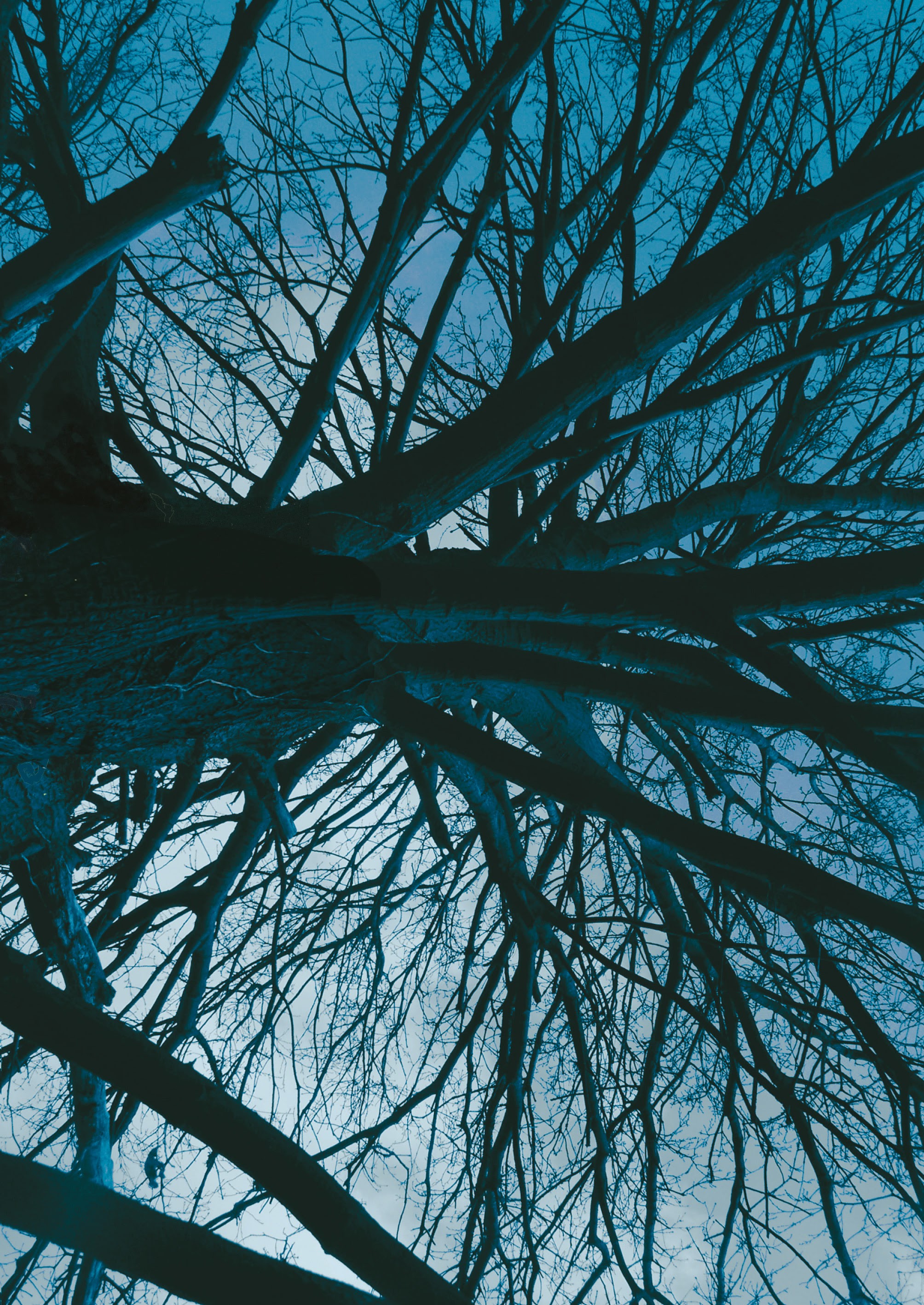 Read online Lip Hook comic -  Issue # TPB (Part 1) - 3