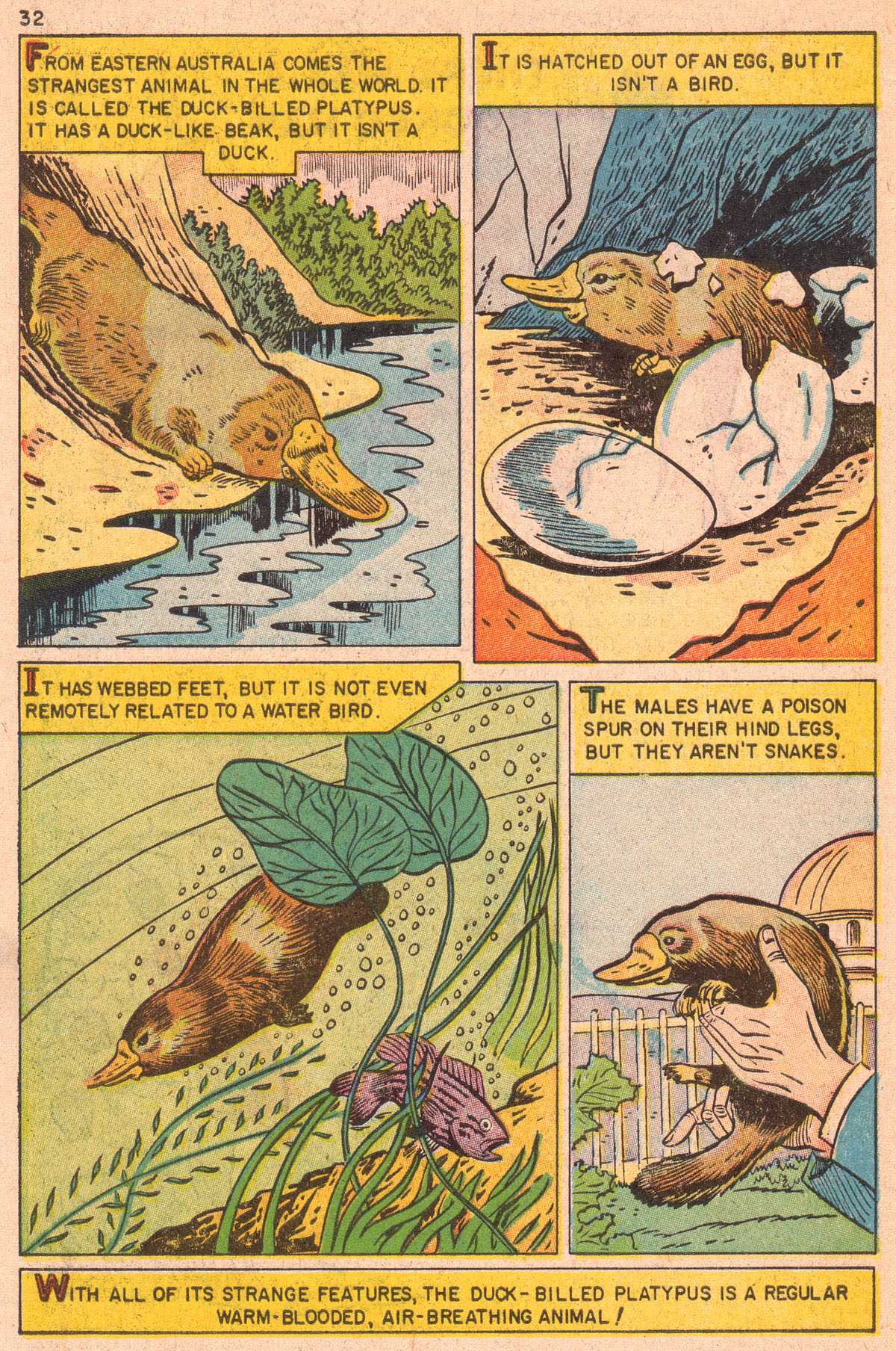 Read online Classics Illustrated Junior comic -  Issue #511 - 34