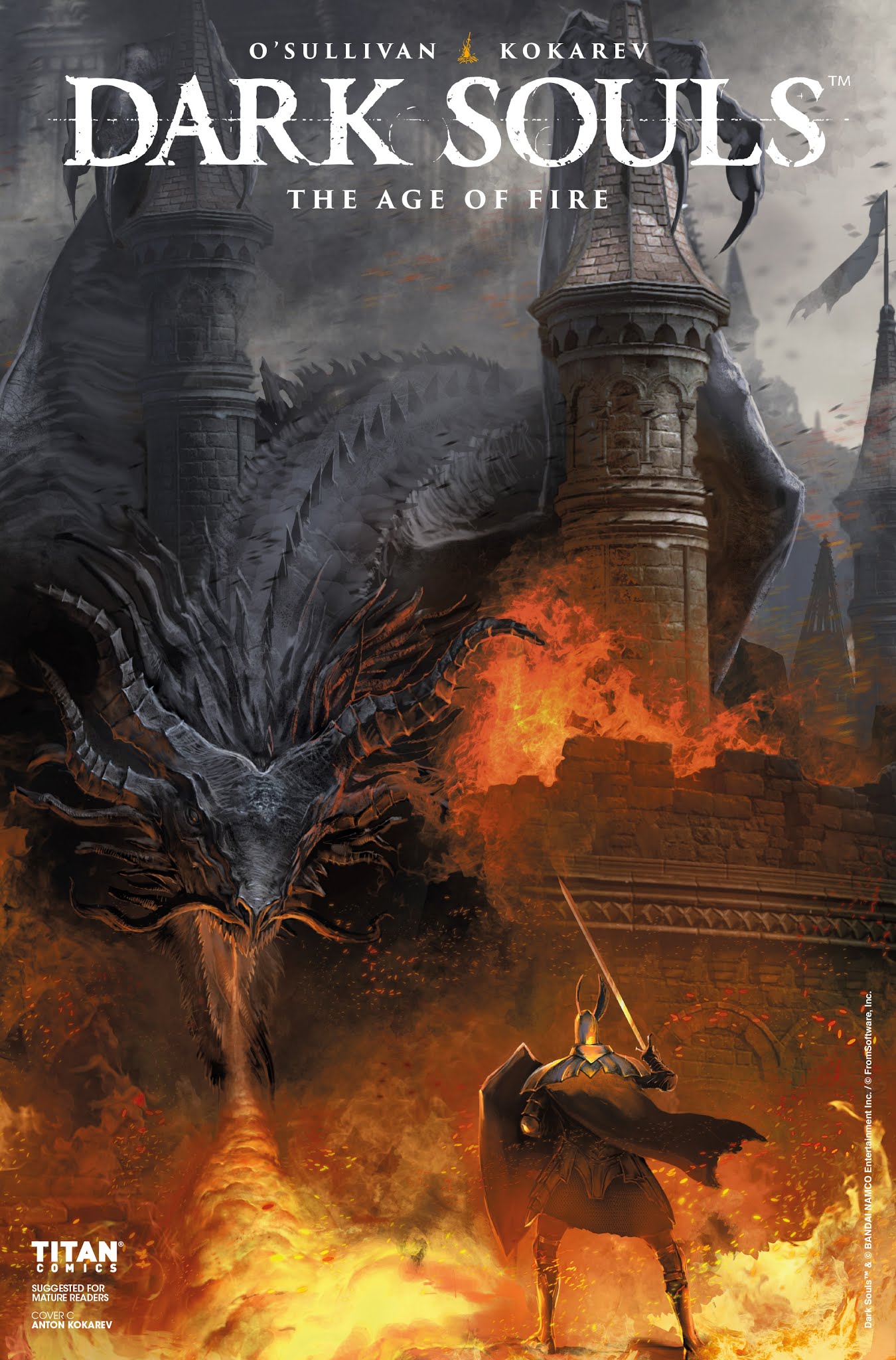 Read online Dark Souls: The Age of Fire comic -  Issue #1 - 3