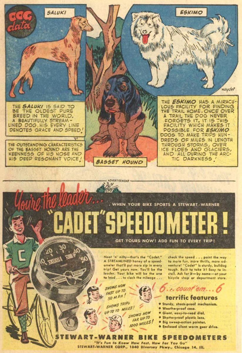 Read online The Adventures of Rex the Wonder Dog comic -  Issue #4 - 34