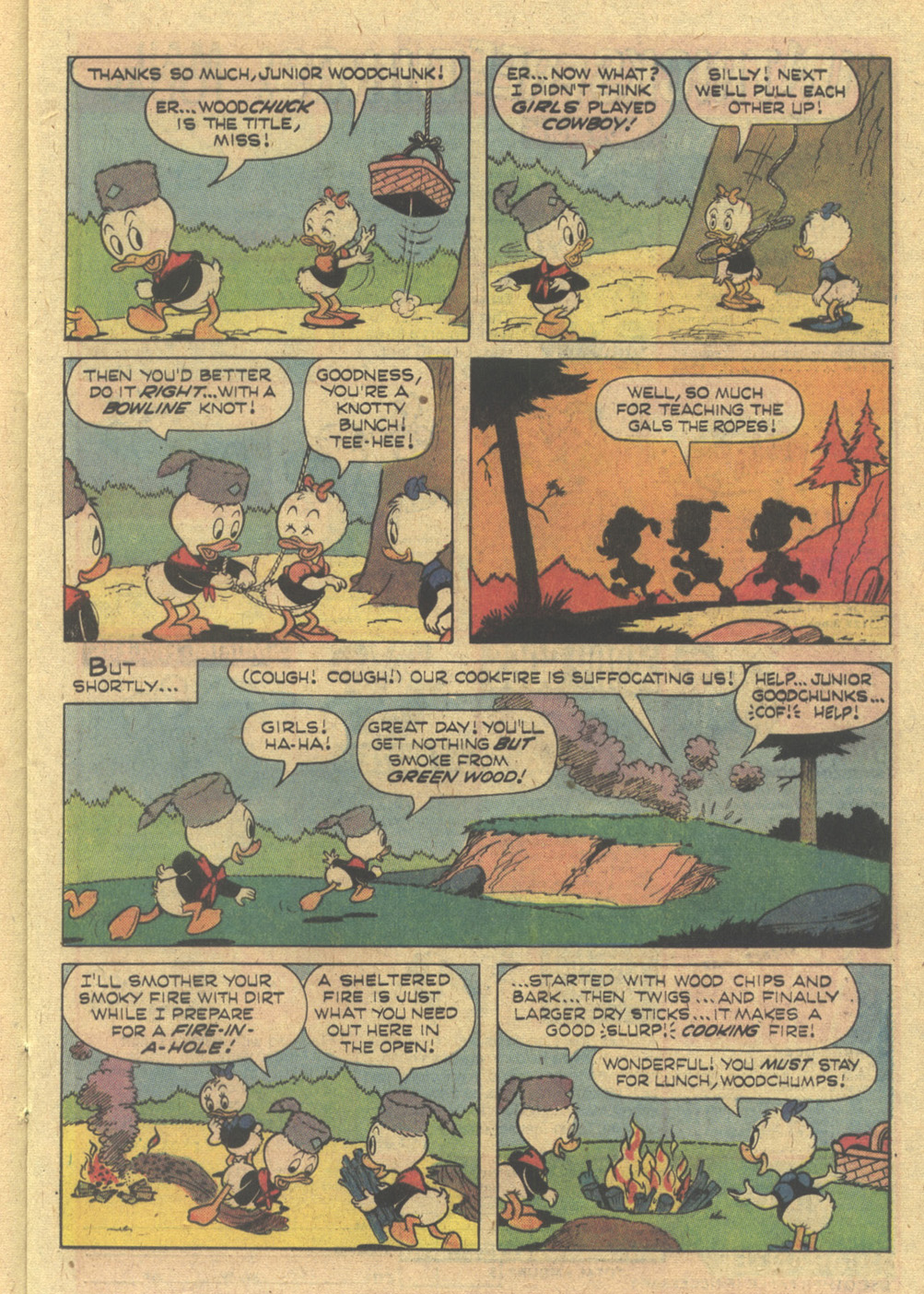 Read online Huey, Dewey, and Louie Junior Woodchucks comic -  Issue #42 - 13