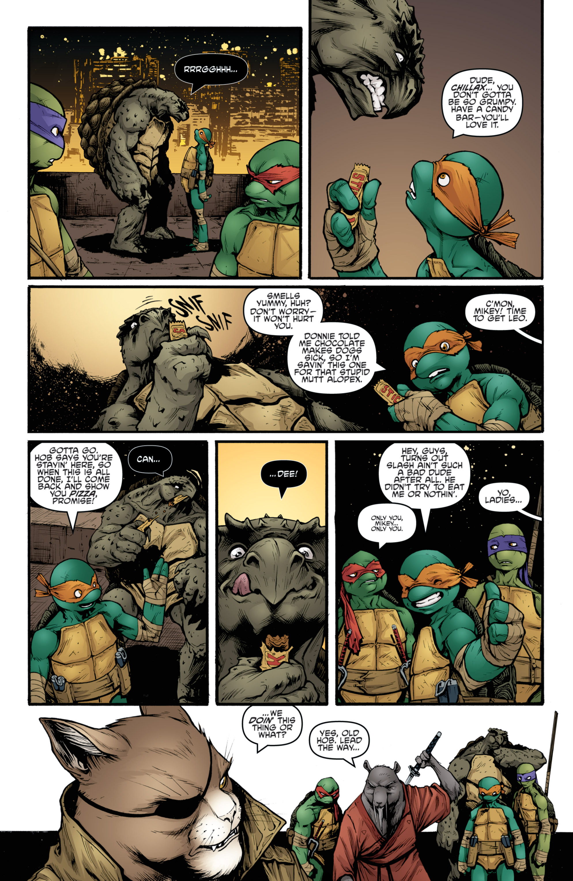 Read online Teenage Mutant Ninja Turtles (2011) comic -  Issue #24 - 12