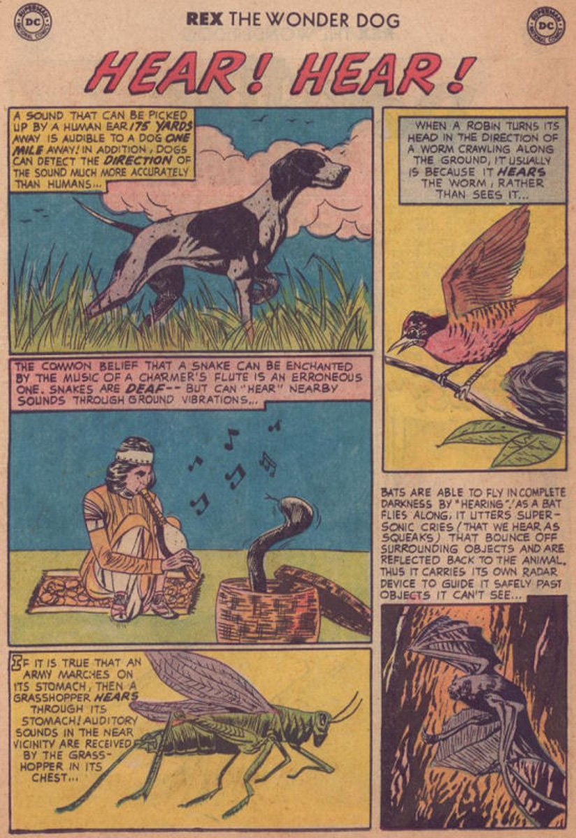 Read online The Adventures of Rex the Wonder Dog comic -  Issue #41 - 15