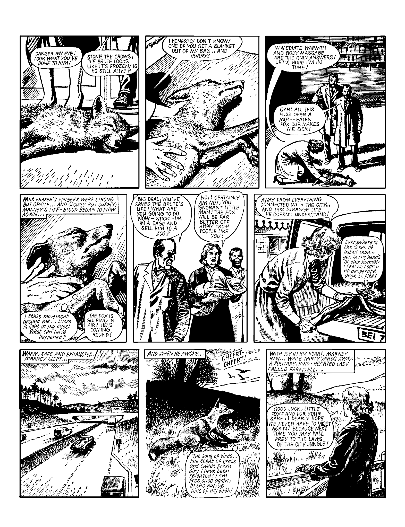 Read online Marney the Fox comic -  Issue # TPB (Part 2) - 51