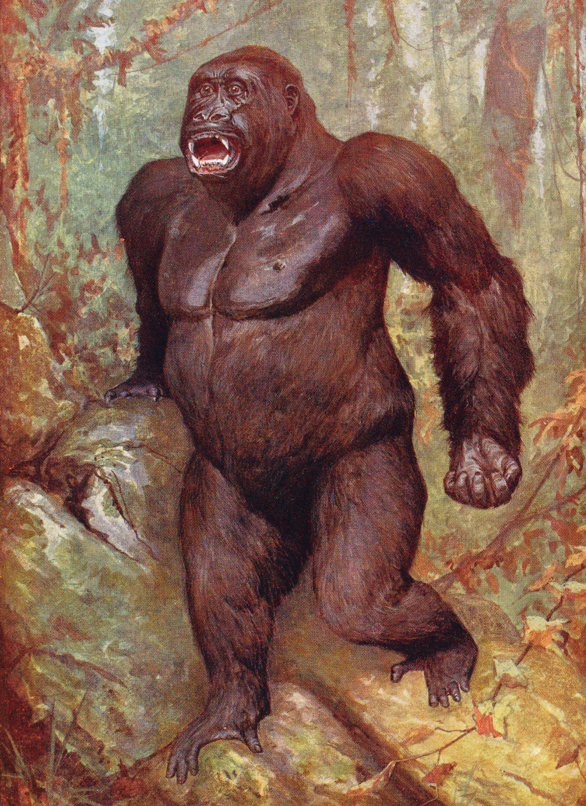 Read online Comics and Stories That Will Make You BLAB! comic -  Issue # TPB - 32