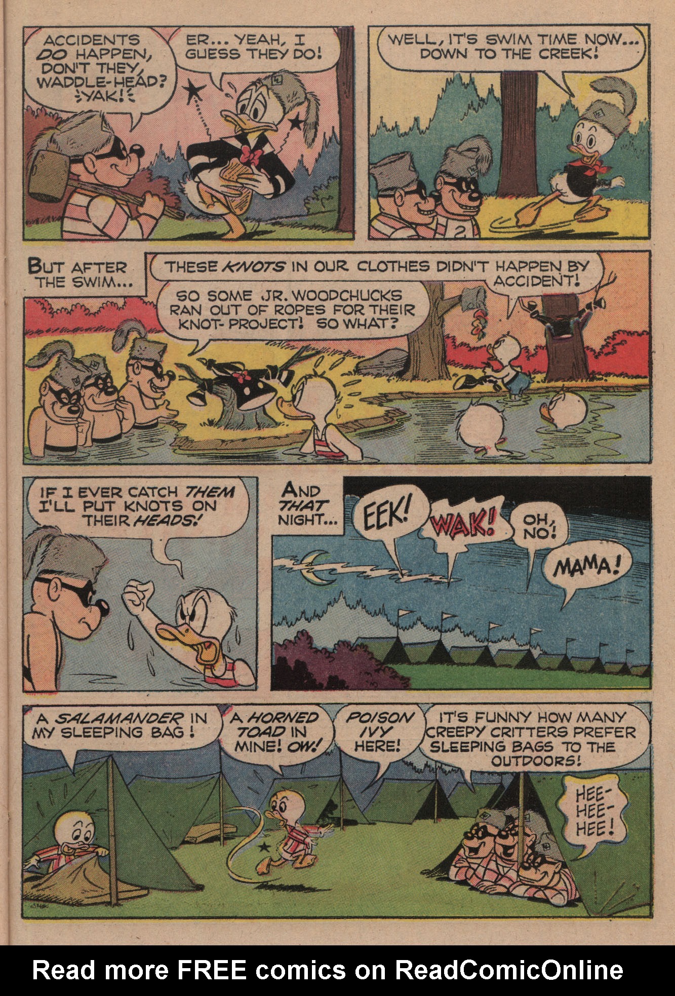 Read online Huey, Dewey, and Louie Junior Woodchucks comic -  Issue #3 - 23