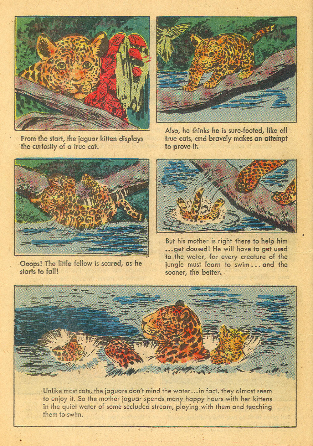 Read online Four Color Comics comic -  Issue #1136 - 14