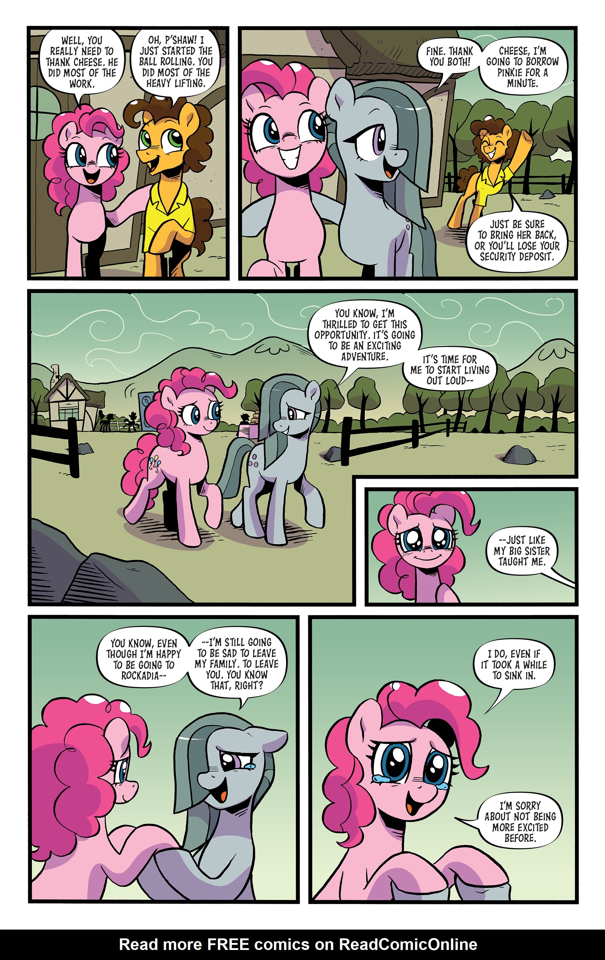 Read online My Little Pony: Friendship is Magic comic -  Issue #99 - 19