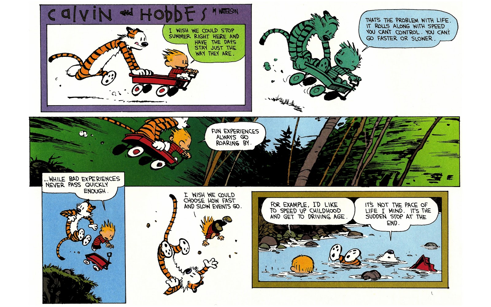 Calvin and Hobbes issue 9 - Page 169