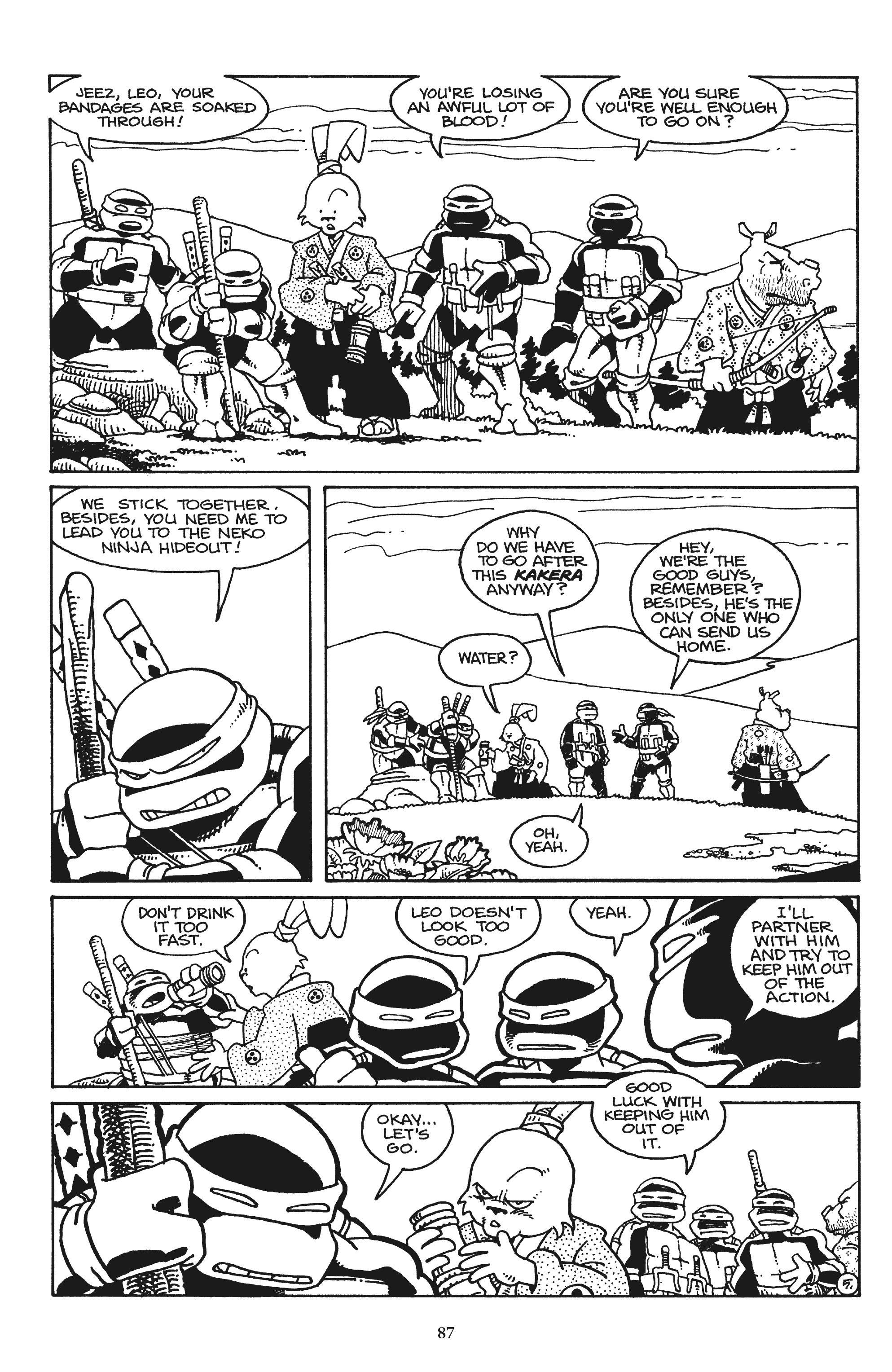 Read online Usagi Yojimbo/Teenage Mutant Ninja Turtles: The Complete Collection comic -  Issue # TPB (Part 1) - 80