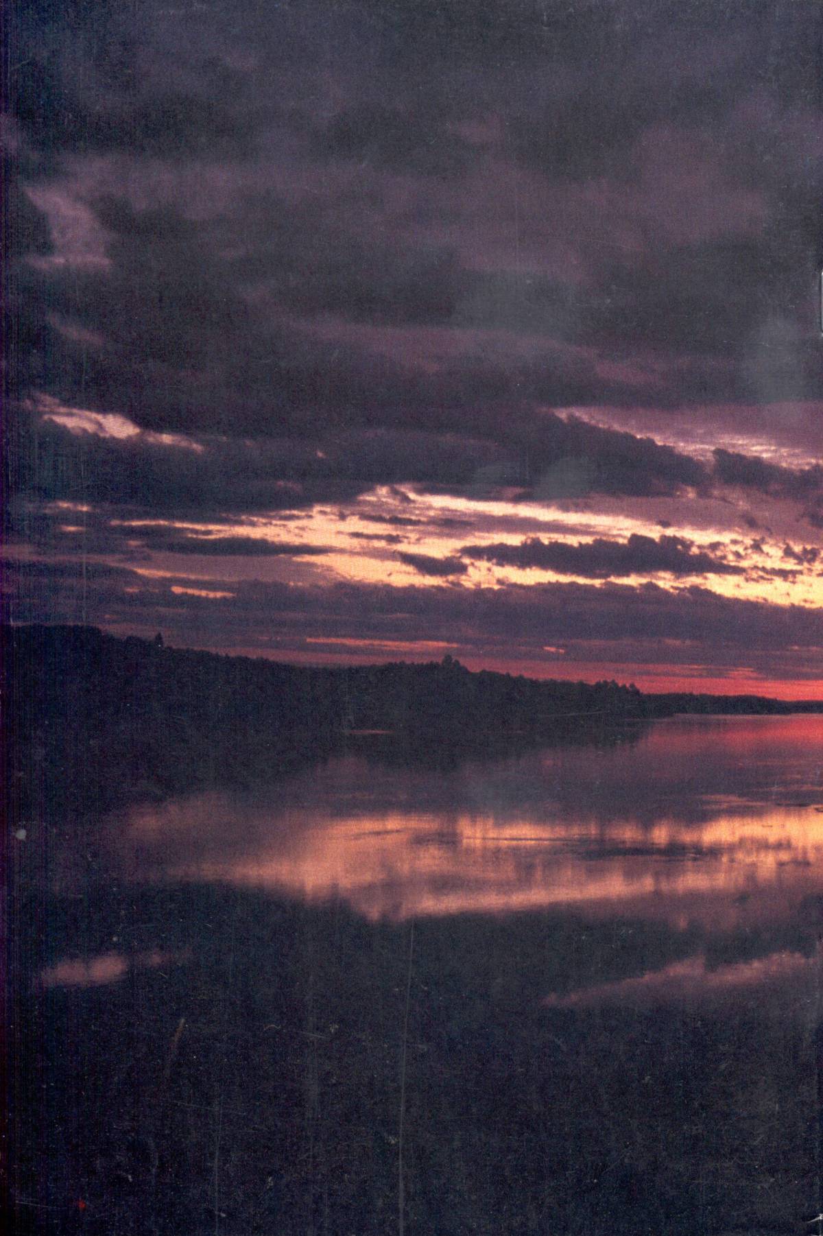 Read online Cerebus comic -  Issue #244 - 35