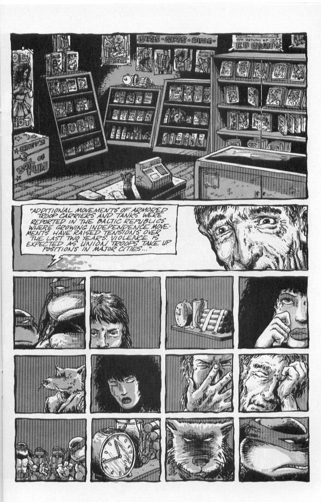Read online Teenage Mutant Ninja Turtles (1984) comic -  Issue #50 - 15