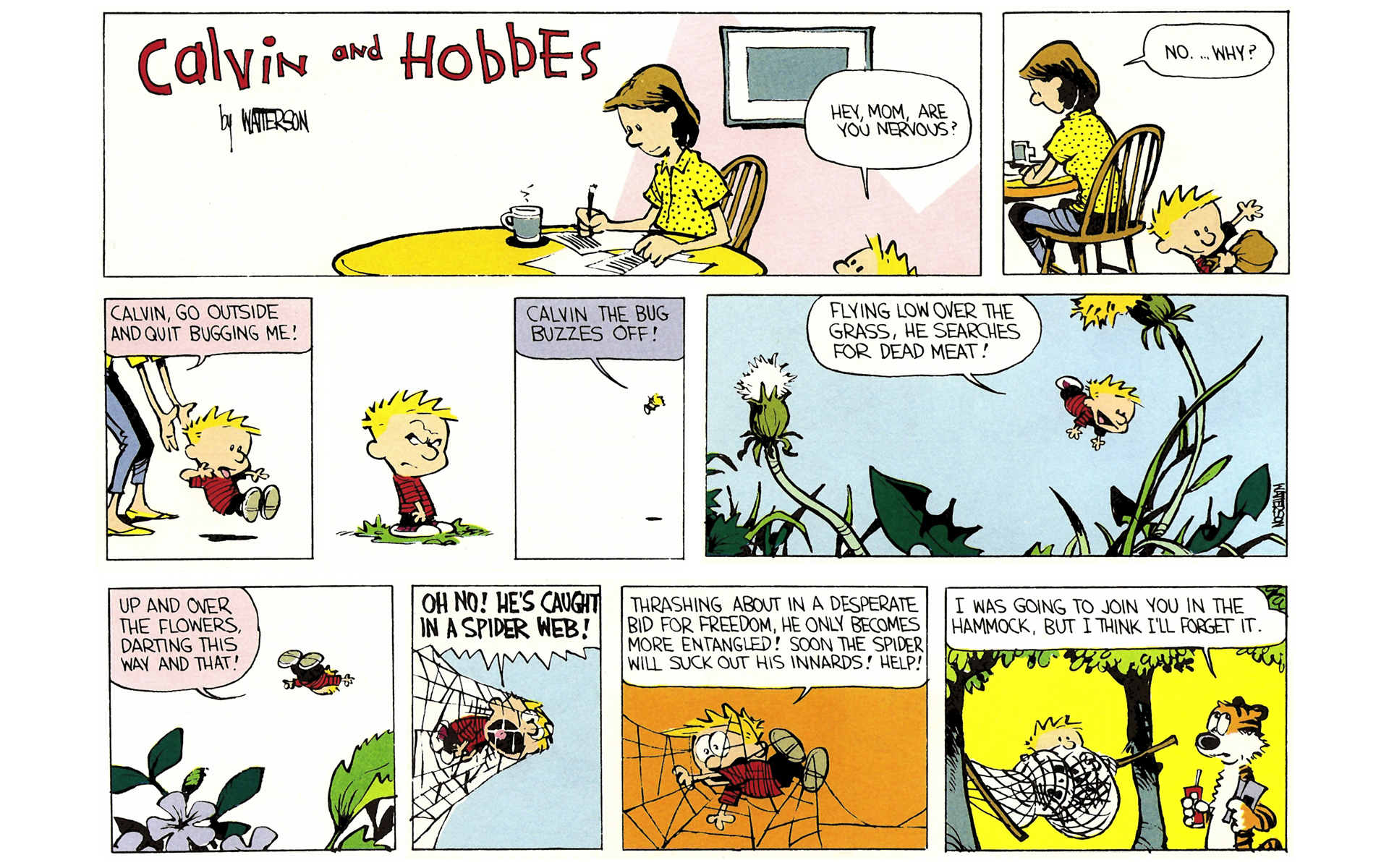 Read online Calvin and Hobbes comic -  Issue #1 - 149
