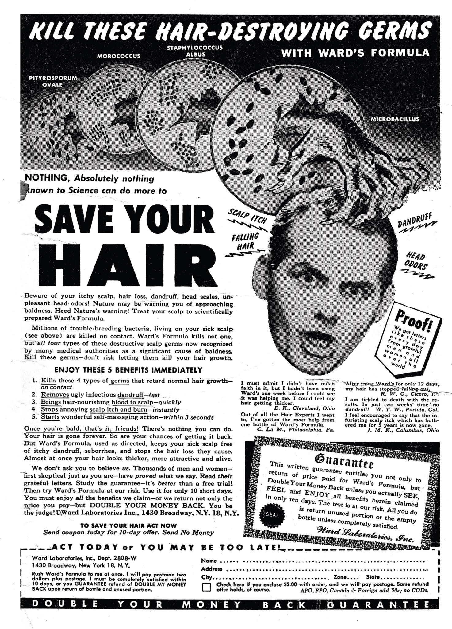 Read online In the Dark comic -  Issue # TPB (Part 3) - 30