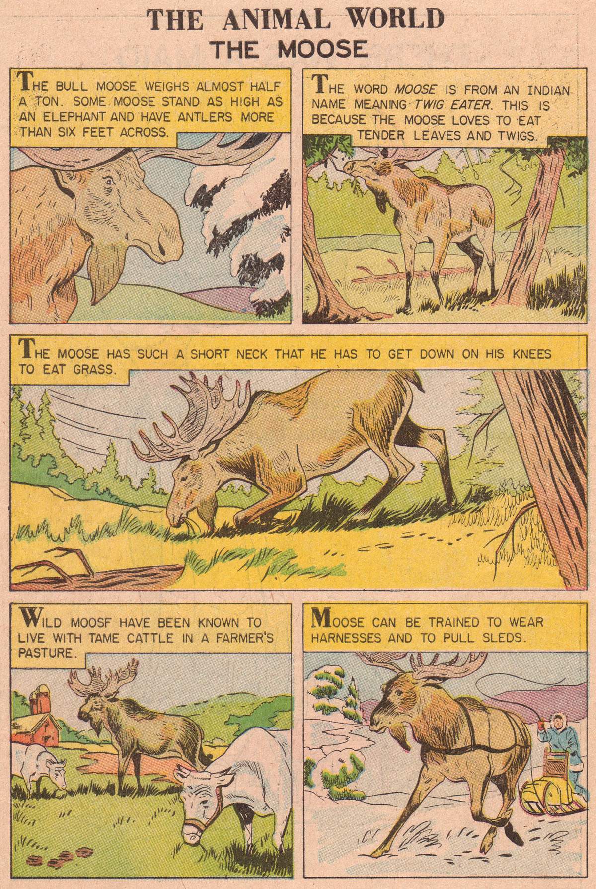 Read online Classics Illustrated Junior comic -  Issue #527 - 34