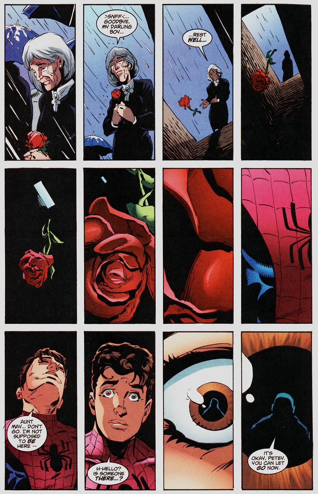 Peter Parker: Spider-Man Issue #25 #28 - English 9