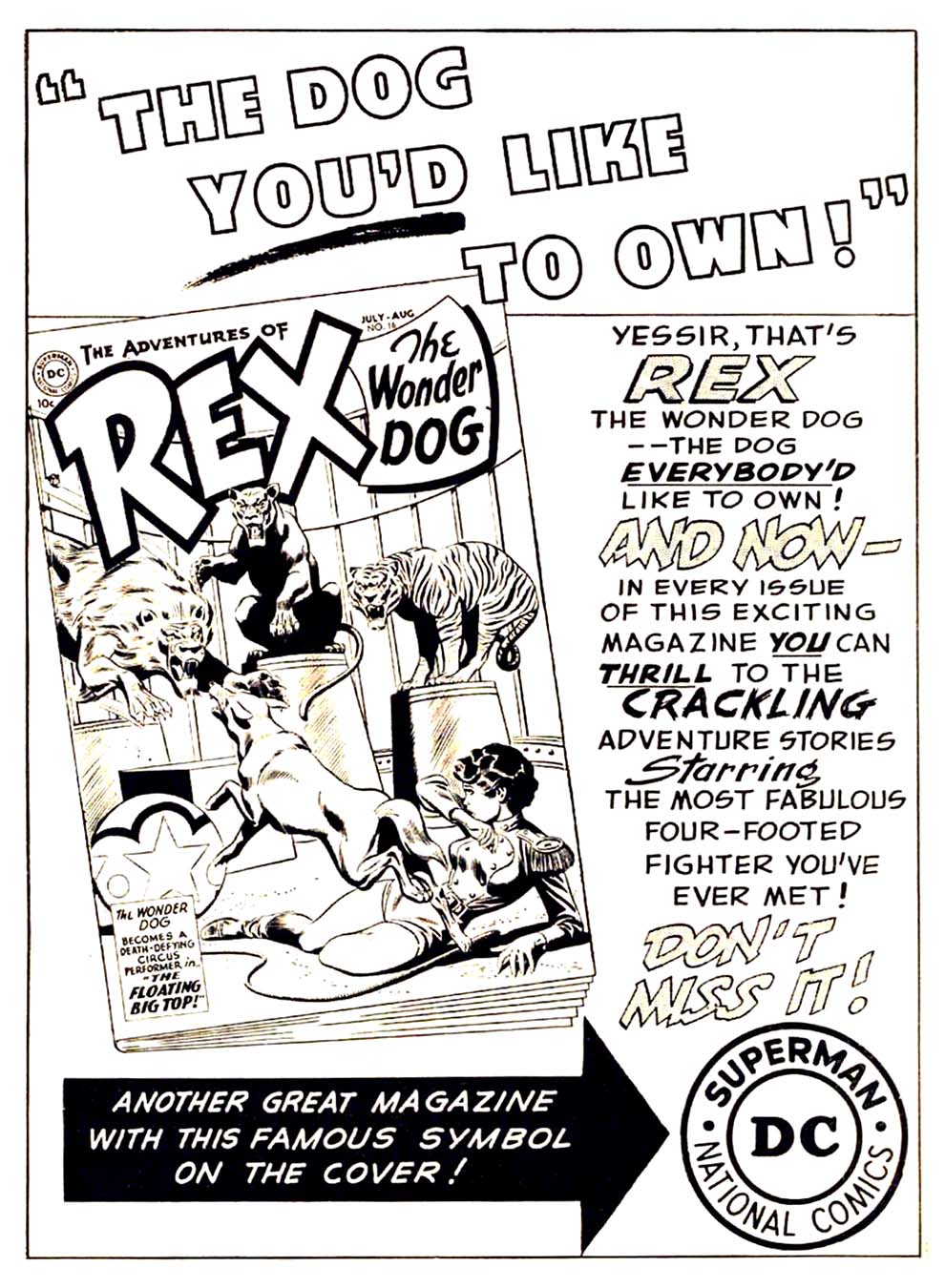 Read online Buzzy comic -  Issue #57 - 43