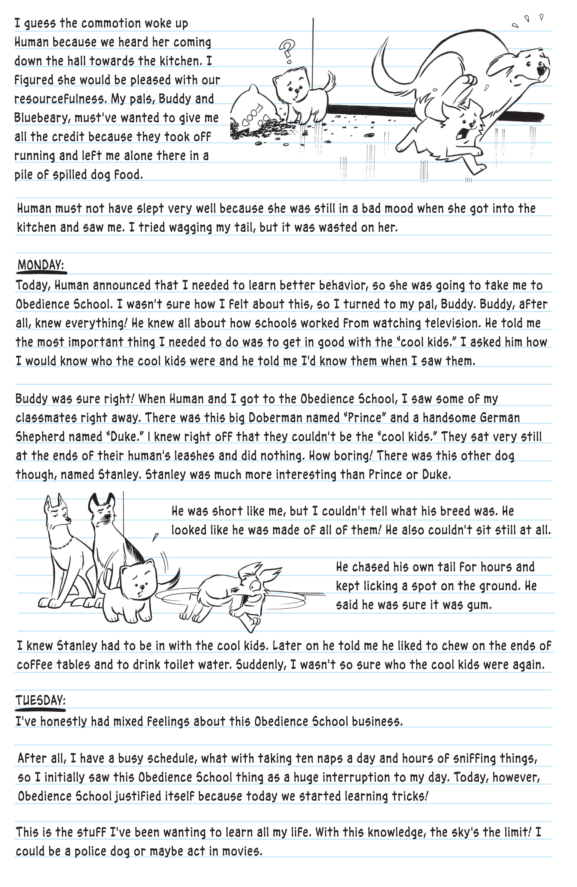 Read online Boo, The World's Cutest Dog comic -  Issue #3 - 24