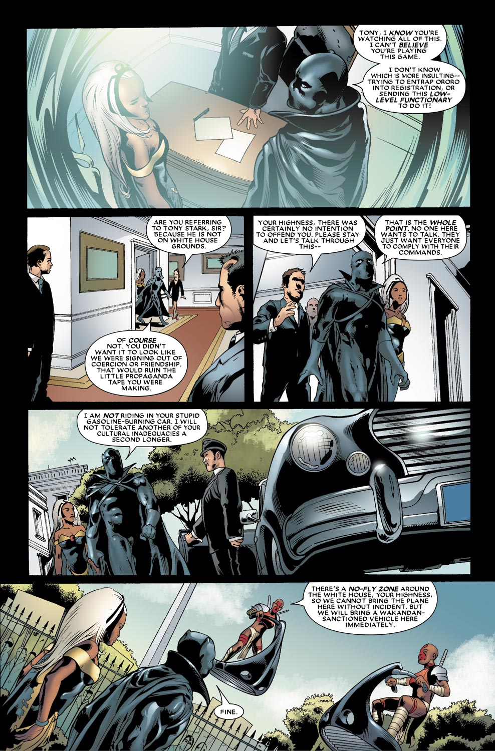 Black Panther (2005) issue 22 - Page 13