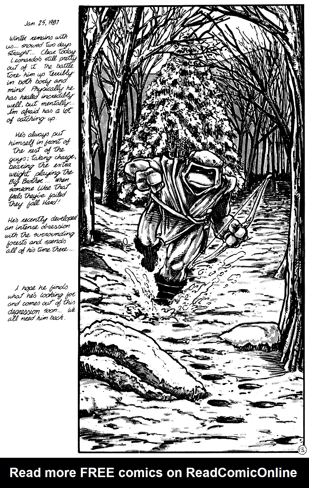 Teenage Mutant Ninja Turtles (1984) Issue #11 #11 - English 14