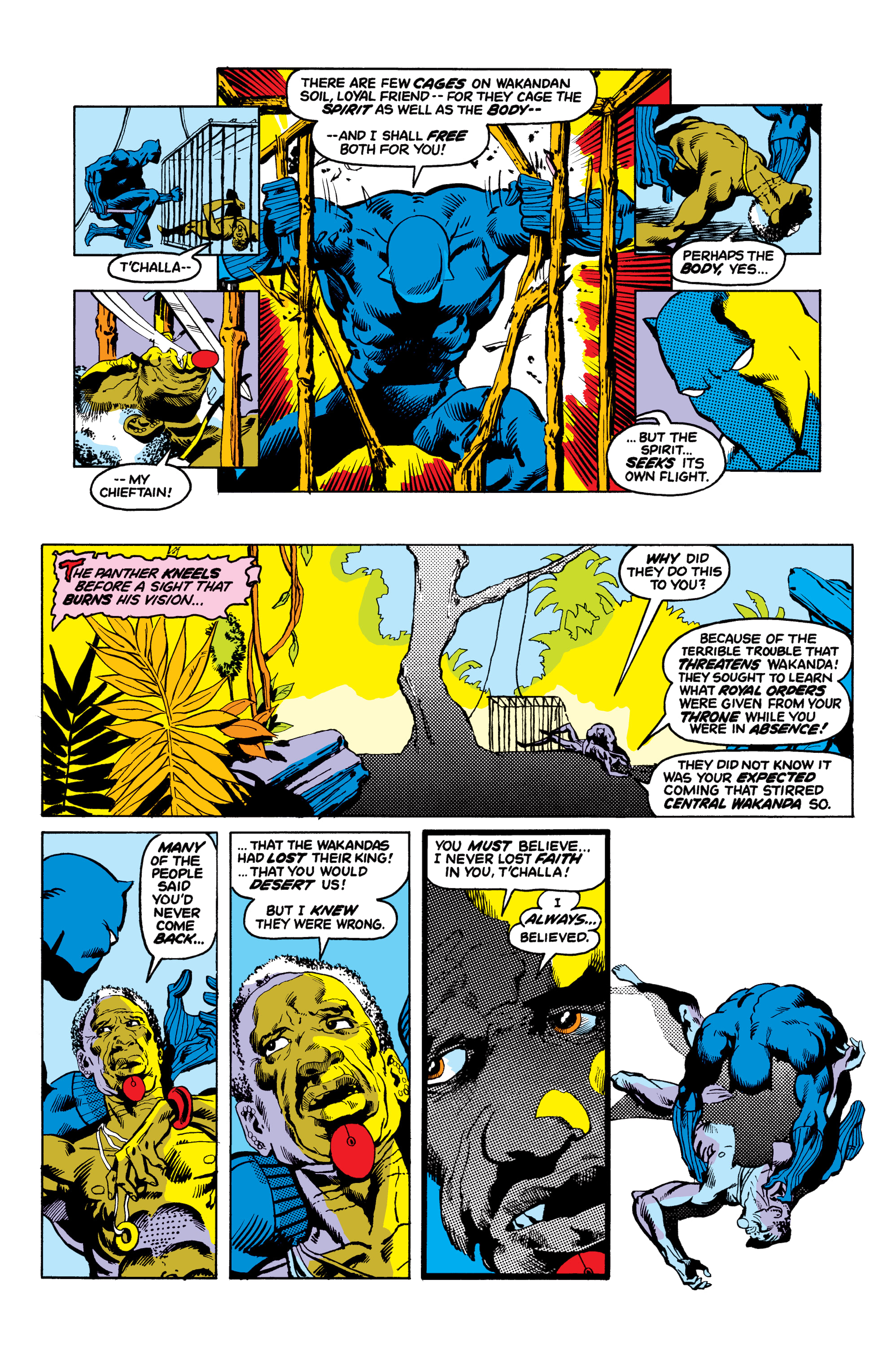 Read online Black Panther: The Early Years Omnibus comic -  Issue # TPB (Part 5) - 54