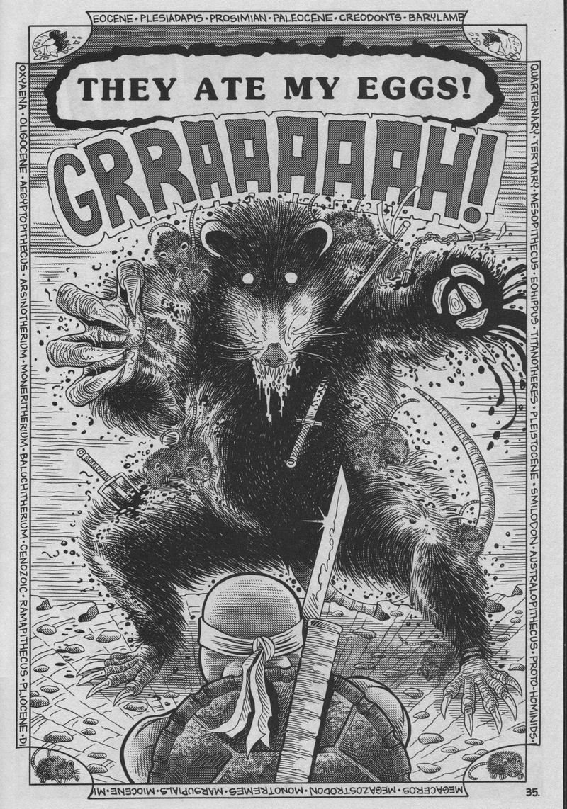 Read online Teenage Mutant Ninja Turtles (1984) comic -  Issue #37 - 35