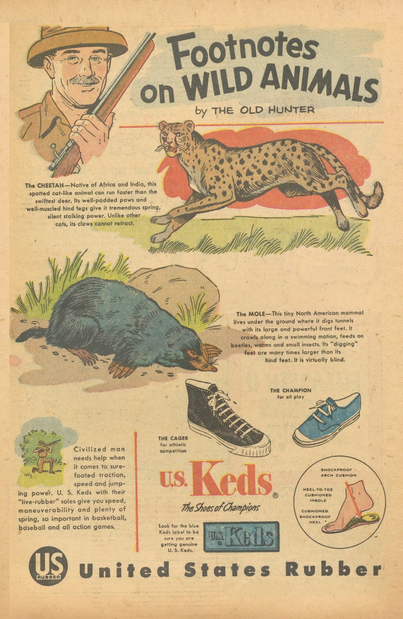 Read online Felix the Cat (1955) comic -  Issue #72 - 33