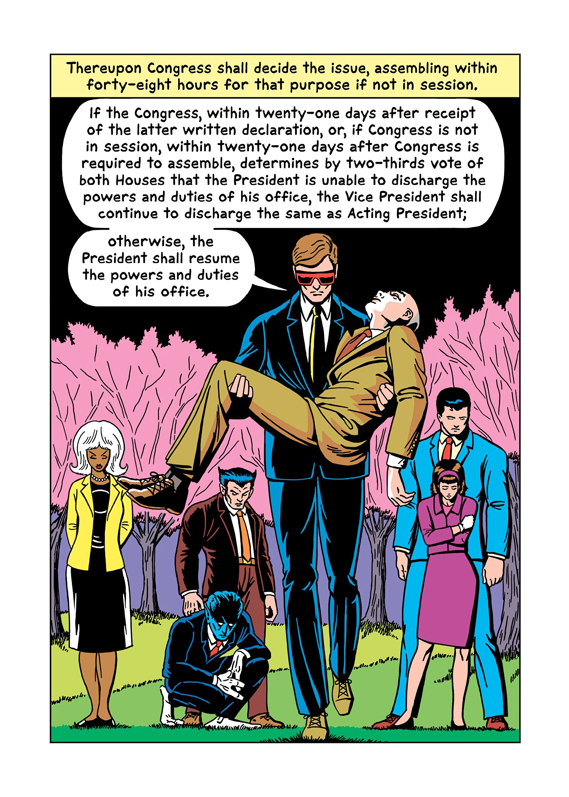 Read online Constitution Illustrated comic -  Issue # TPB - 118