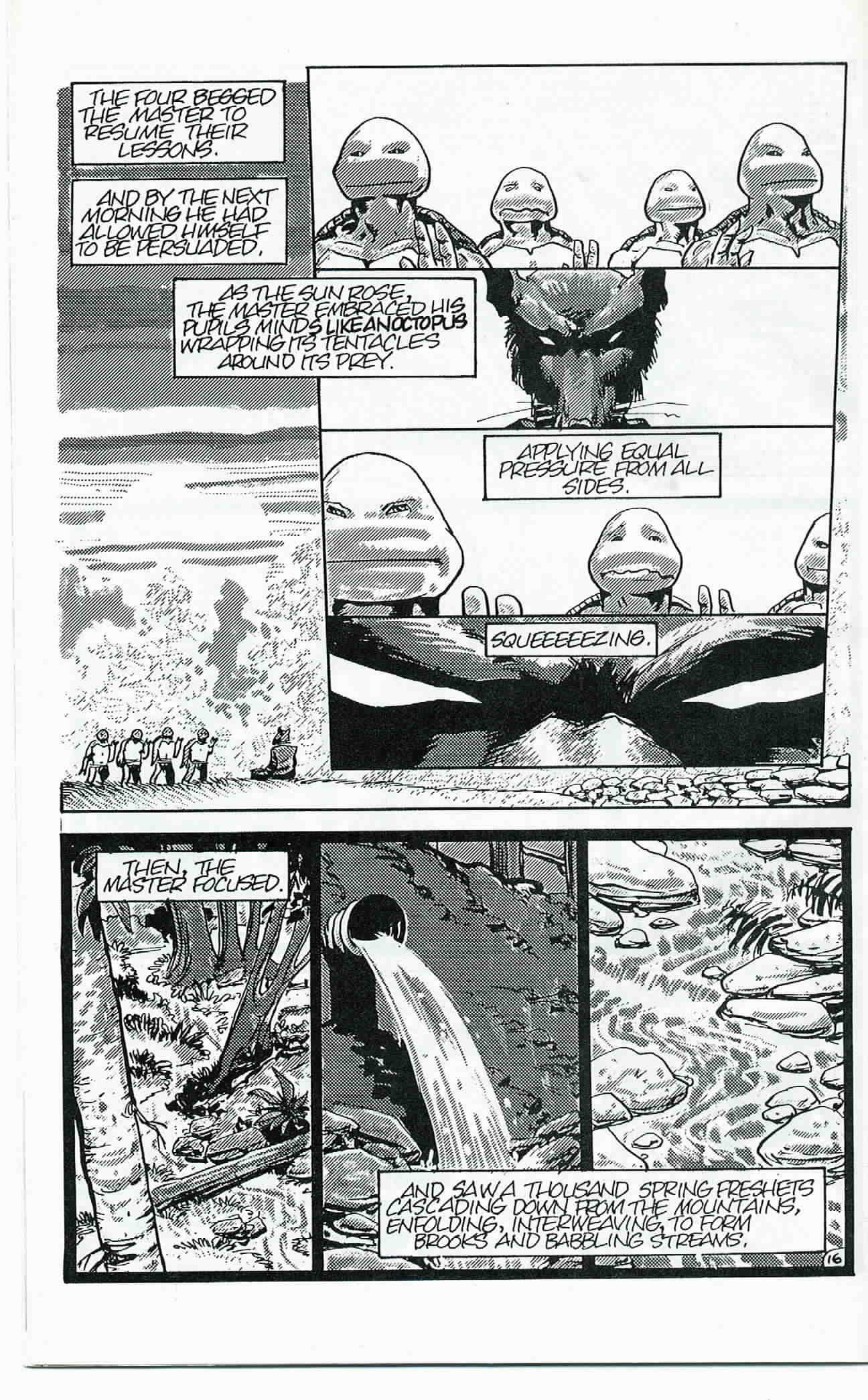 Read online Teenage Mutant Ninja Turtles (1984) comic -  Issue #24 - 17