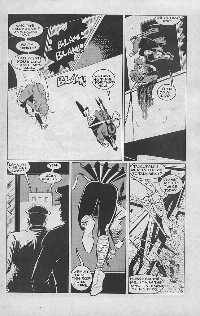 Read online She-Cat comic -  Issue #3 - 5